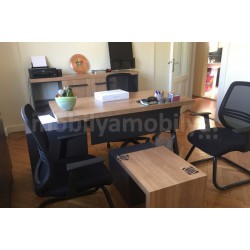 Frau Taksim Büromöbel Tulpen