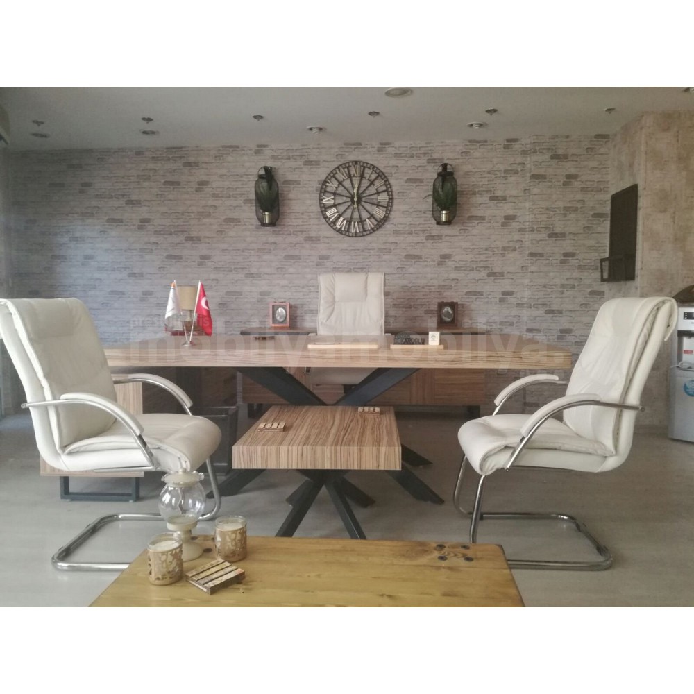 Mugla Büro Executive Office