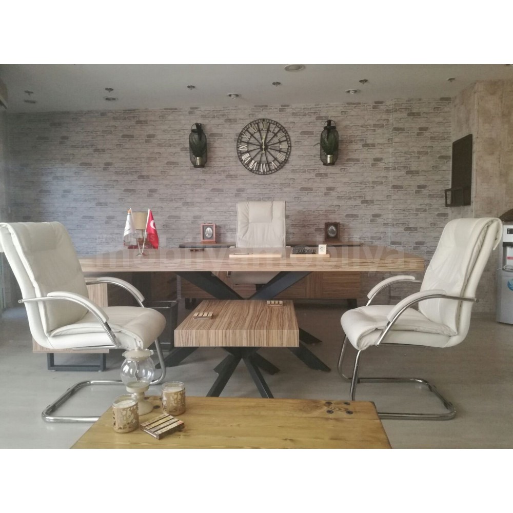 Mugla Büro Executive Office