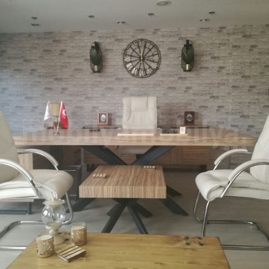 Mugla Büro Executive Office