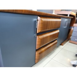 Schwedisches Vıp-Führungsteam