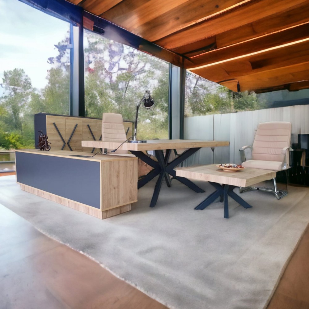 Lexus Executive Office-Team