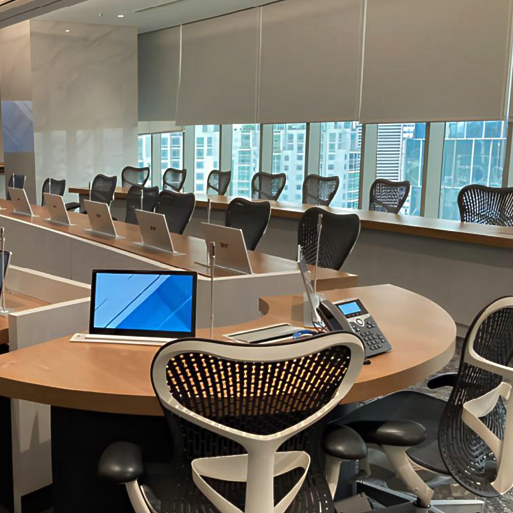 Aml-17.3 Motorisierter Monitorlift