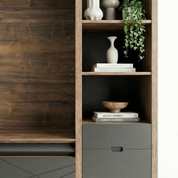 Schrank Mit Signatureinheit