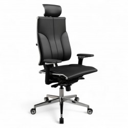 Yoga D Executive Chair Mit Metallrahmen