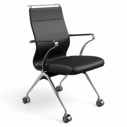 Zwei Stühle Für Bürobesprechungsräume