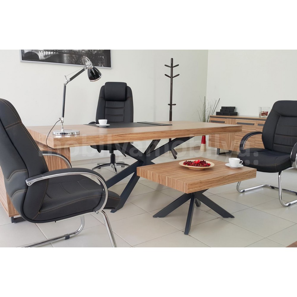 Lexus Executive Office-Team